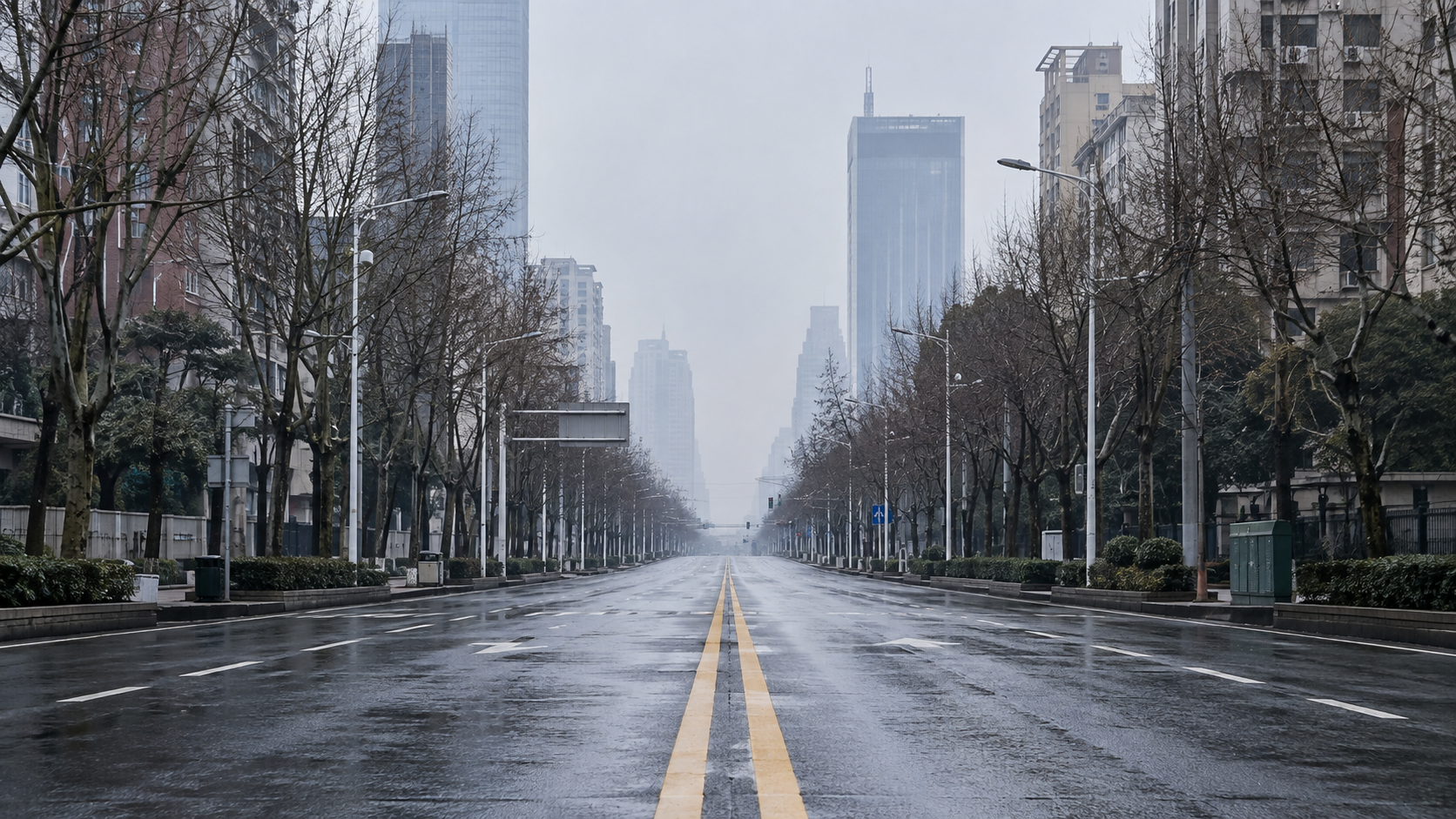 2020: Wuhan City Lockdown