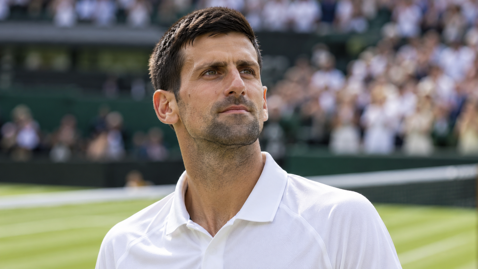Novak Djokovic, 2019